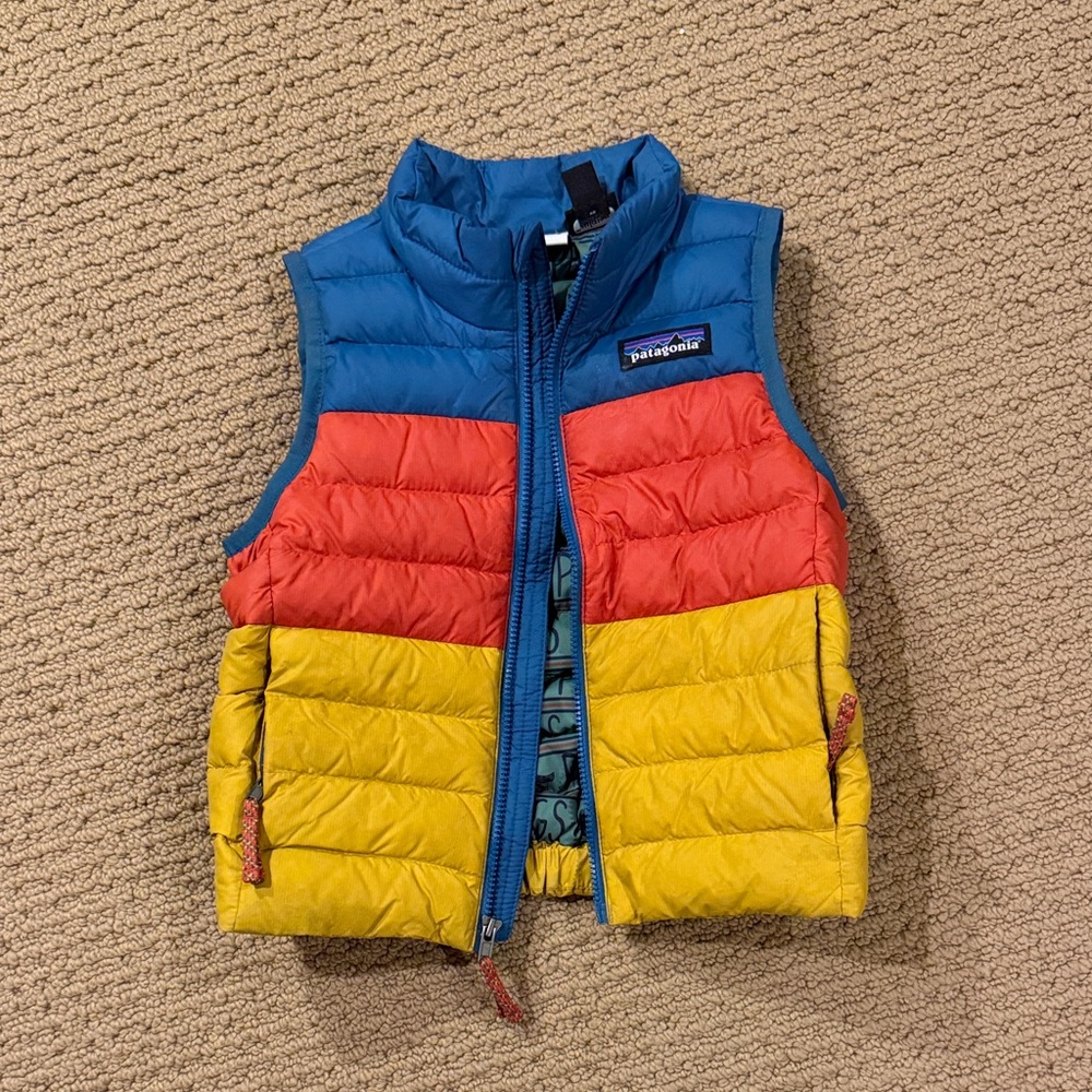 Patagonia Multicolor Puffer Vest